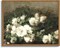 Framed Canvas Wall Art Vintage Decor, Flower Prints Wall Art Room Wall Decor, Botanical Prints Wall Art for Living Room Decorations, Rustic ArtWork for Bathroom Bedroom Home Decor, 11"x14"